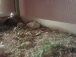 20140529_002209.jpg