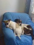 DSC00335.jpg