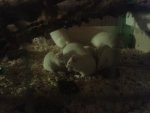 20140530_002841.jpg