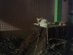 20140603_222127.jpg