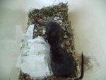 DSC01974.jpg
