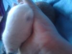 20140606_205233.jpg