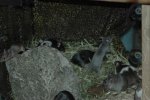 DSC_8348.jpg