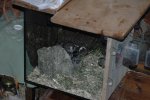 DSC_8386.jpg