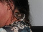IMG_2039.jpg