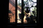 DSC_8772.jpg