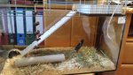 20140627_202503.jpg
