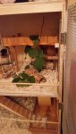 20140707_000251.jpg