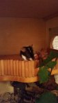 20140707_000625.jpg