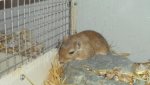 DSC00667.jpg