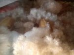 IMG-20140715-WA0003.jpg