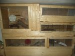 DSC02260.jpg