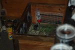DSC_8979.jpg