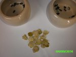 PICT0178.jpg