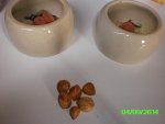 PICT0180.jpg