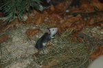 DSC_5598.jpg