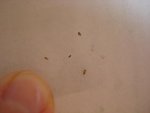 DSC05415.jpg