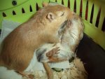 DSC02473.jpg