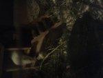 20141006_205443.jpg
