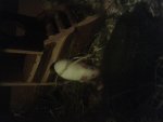 20141006_205630.jpg