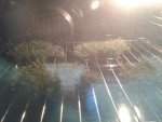 20141007_110625.jpg