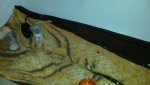 20141007_140125 rangeln kl.jpg