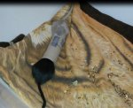 20141007_134736 Bildausschnitt.JPG