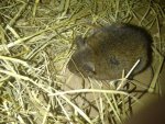 IMG-20141014-01065.jpg