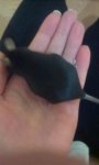 IMAG0286.jpg