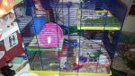 20141027_195751.jpg