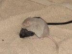 IMG_0669.jpg
