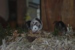 DSC_9702.jpg