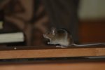 DSC_9789.jpg