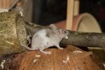 IMG_2957.jpg