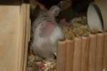 IMG_2985.jpg