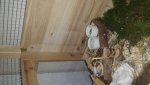 20141122_082711.jpg