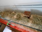 ebay und so 013.jpg