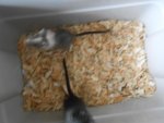 ebay und so 016.jpg