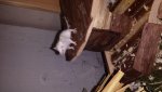 20141209_172523.jpg