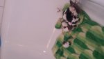 IMG-20141213-WA0000.jpg