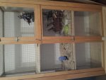 20141214_104911.jpg