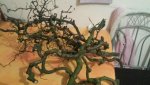 IMG-20141210-WA0001.jpg