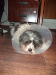 DSC03024.jpg