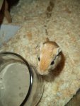 DSC02370.jpg