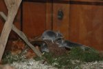 DSC_9875.jpg