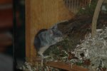DSC_0073.jpg
