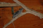 DSC_0089.jpg