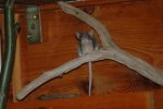 DSC_0094.jpg