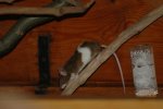 DSC_0115.jpg