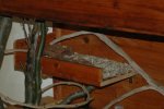DSC_0173.jpg